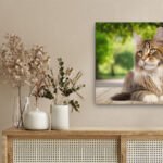 tableau-chat-maine-coon