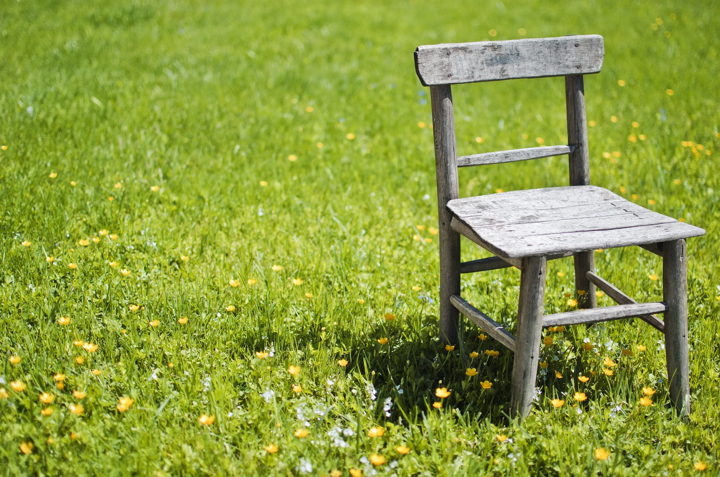 chaise dans un jardin 