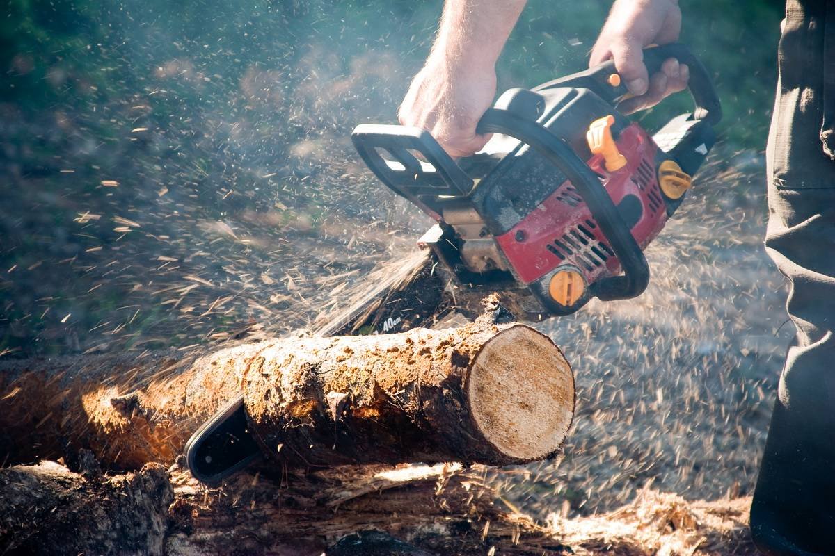 utilisation d'une tronçonneuse pour couper du bois