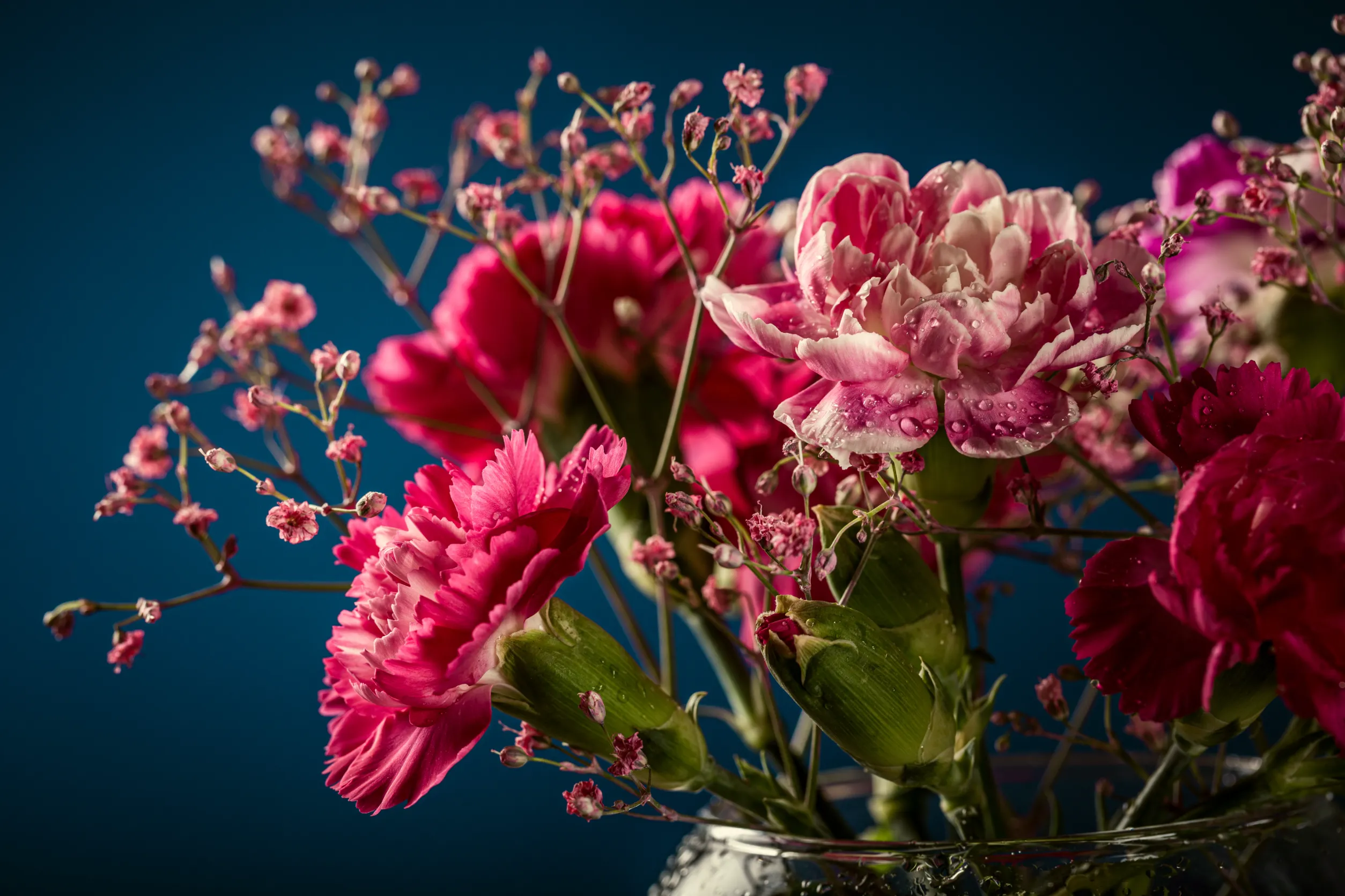 Bouquet d'oeillet rose dans un vase 