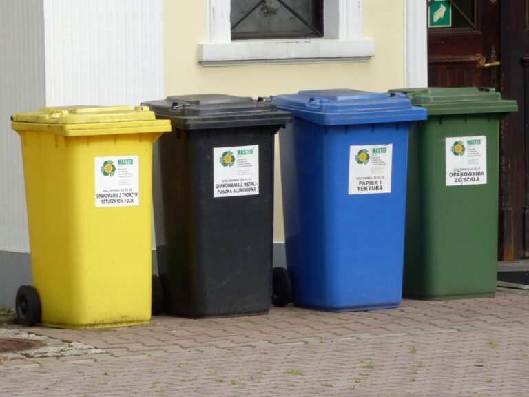 poubelles derrière une cuisine