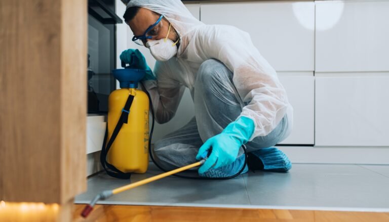 dératisation dans le 18e arrondissement par un professionnel
